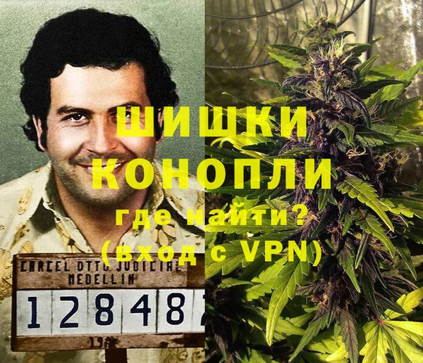 ГАЛЛЮЦИНОГЕННЫЕ ГРИБЫ Алексин
