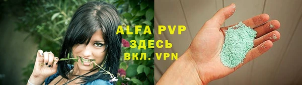 apvp Алзамай