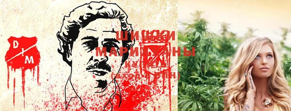 ГАЛЛЮЦИНОГЕННЫЕ ГРИБЫ Алексин