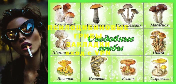 ГАЛЛЮЦИНОГЕННЫЕ ГРИБЫ Алексин