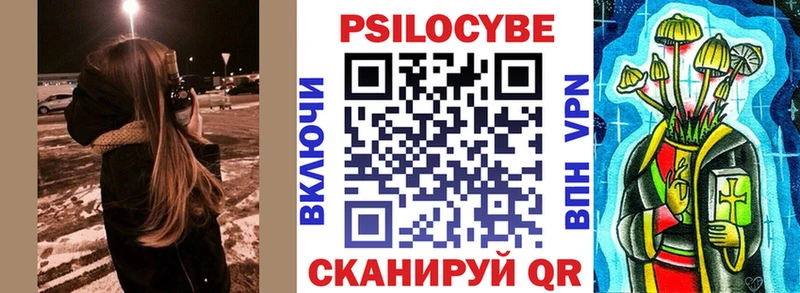 Галлюциногенные грибы Cubensis  сколько стоит  omg ТОР  Болгар 